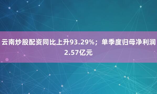 云南炒股配资同比上升93.29%；单季度归母净利润2.57亿元